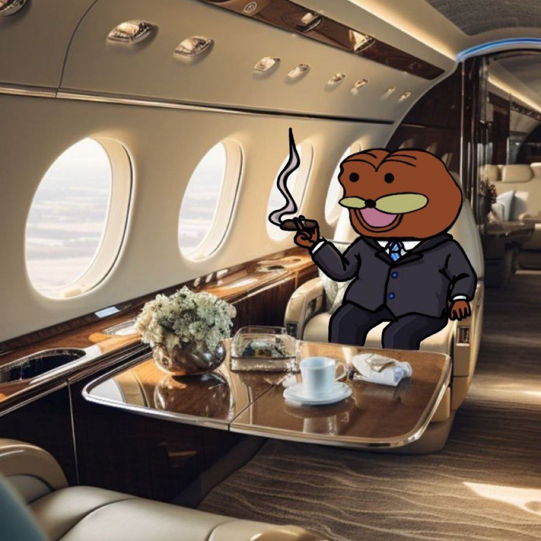 CryptoGodJohn's tweet photo. $SPURDO chads 🤝 https://t.co/HzwJXHrhRh
