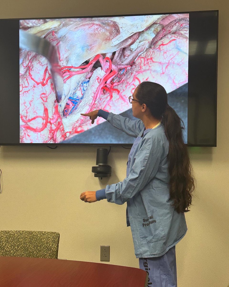 Joao Paulo Almeida tweet media