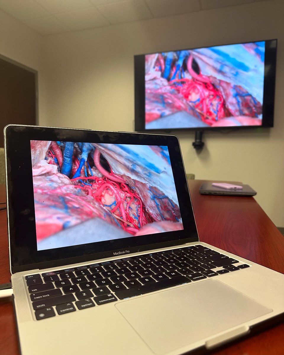 Joao Paulo Almeida tweet media