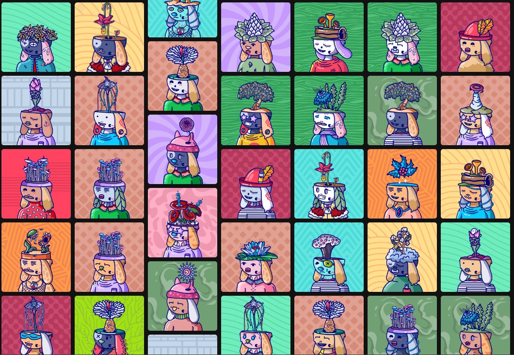 Bacon 🥓 🦥 tweet media