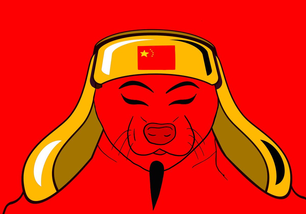 Enter the $chiwif airdrop now x.com/chinesewifonso…