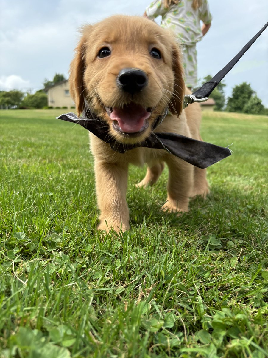 Rick Holman tweet media