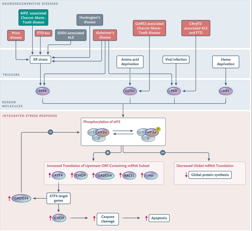 Nick Burwick, MD tweet media