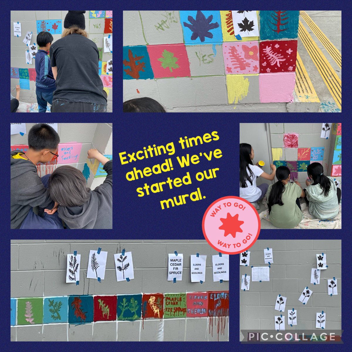 Cook Elementary tweet media