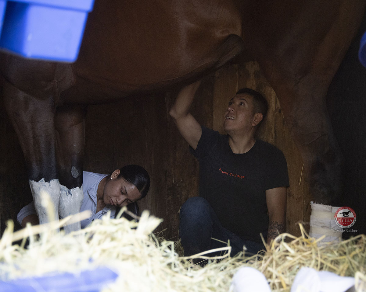 ponyace's tweet photo. Find someone who looks at you the way these gentleman look at Evvie Jets &amp; Pretty Mischievous, enjoy Didia's ears, see the care that goes into Idiomatic's 6-race winning streak, &amp; more... this week's #WeLoveTheBackstretchWednesday is live for @newyorktha: https://t.co/qZU4ZfChra https://t.co/KSetZqV11C