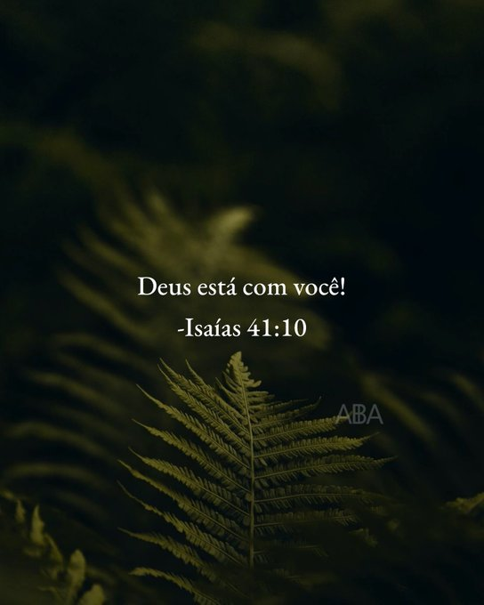 UmFilosofoCitou's tweet photo. https://t.co/dYsjX2mSxi