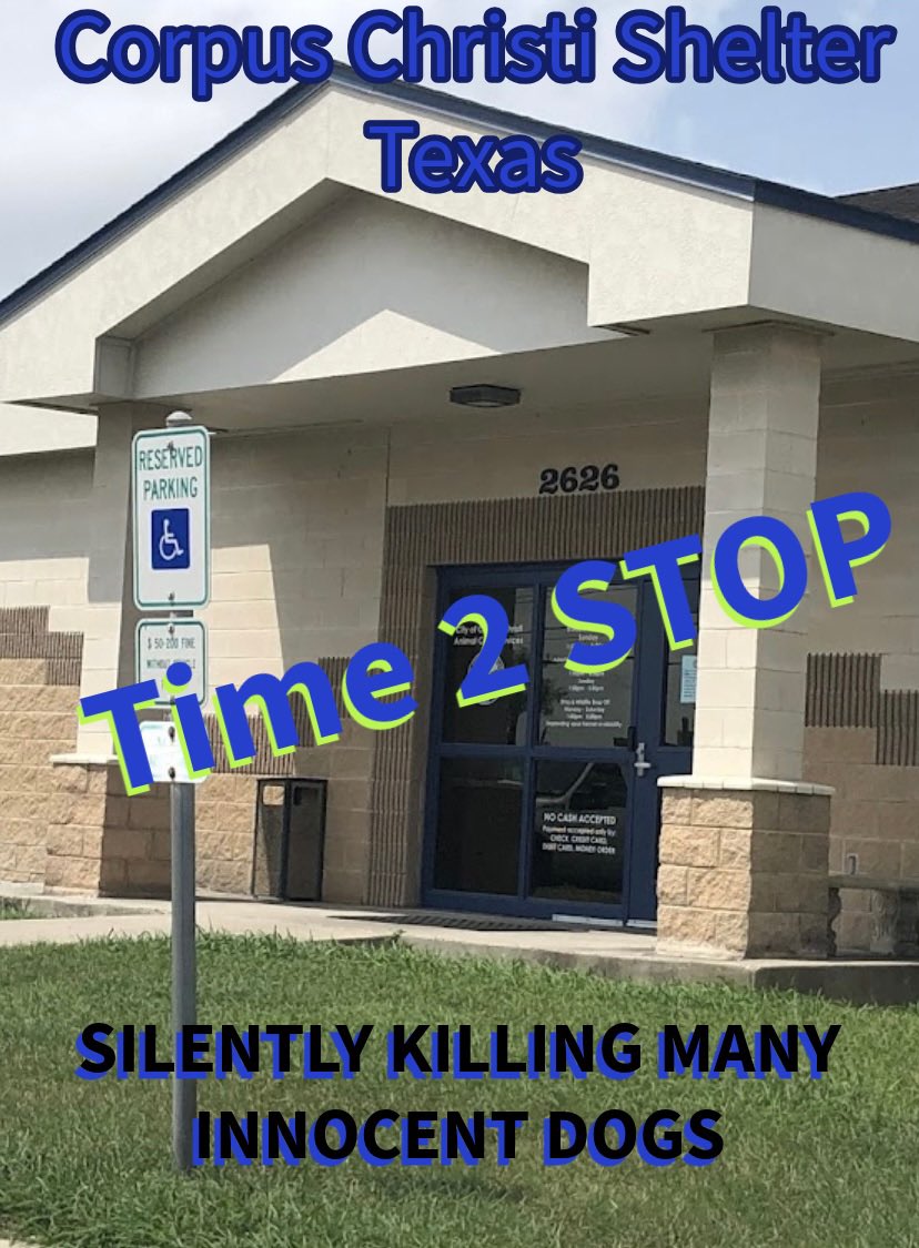 ‼️We Need YOU To Join Us‼️ ‼️SATURDAY JUNE 8th‼️ #CorpusChristi #TEXAS ☮️✌️Peaceful Protest/Walk ✅️11am START: Water's Edge Parking Lot, Corpus Christi Texas ✅️To: American Bank Center & back to Parking Lot PROTEST at ⬇️ #CorpusChristi Animal Care Shelter who are killing…