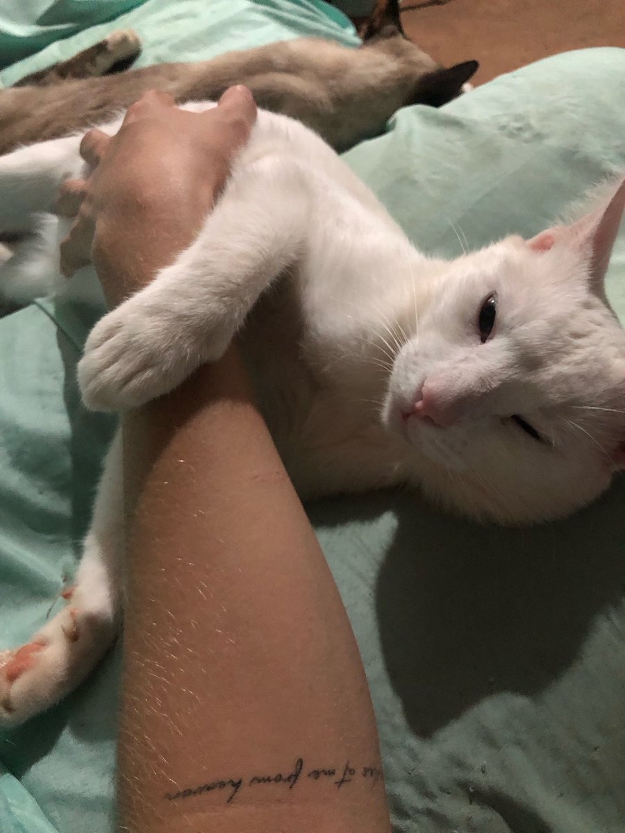 lizmarlene09's tweet photo. Te lloro todos los días mi vidaaa😭🤍 https://t.co/t008RBGbt0