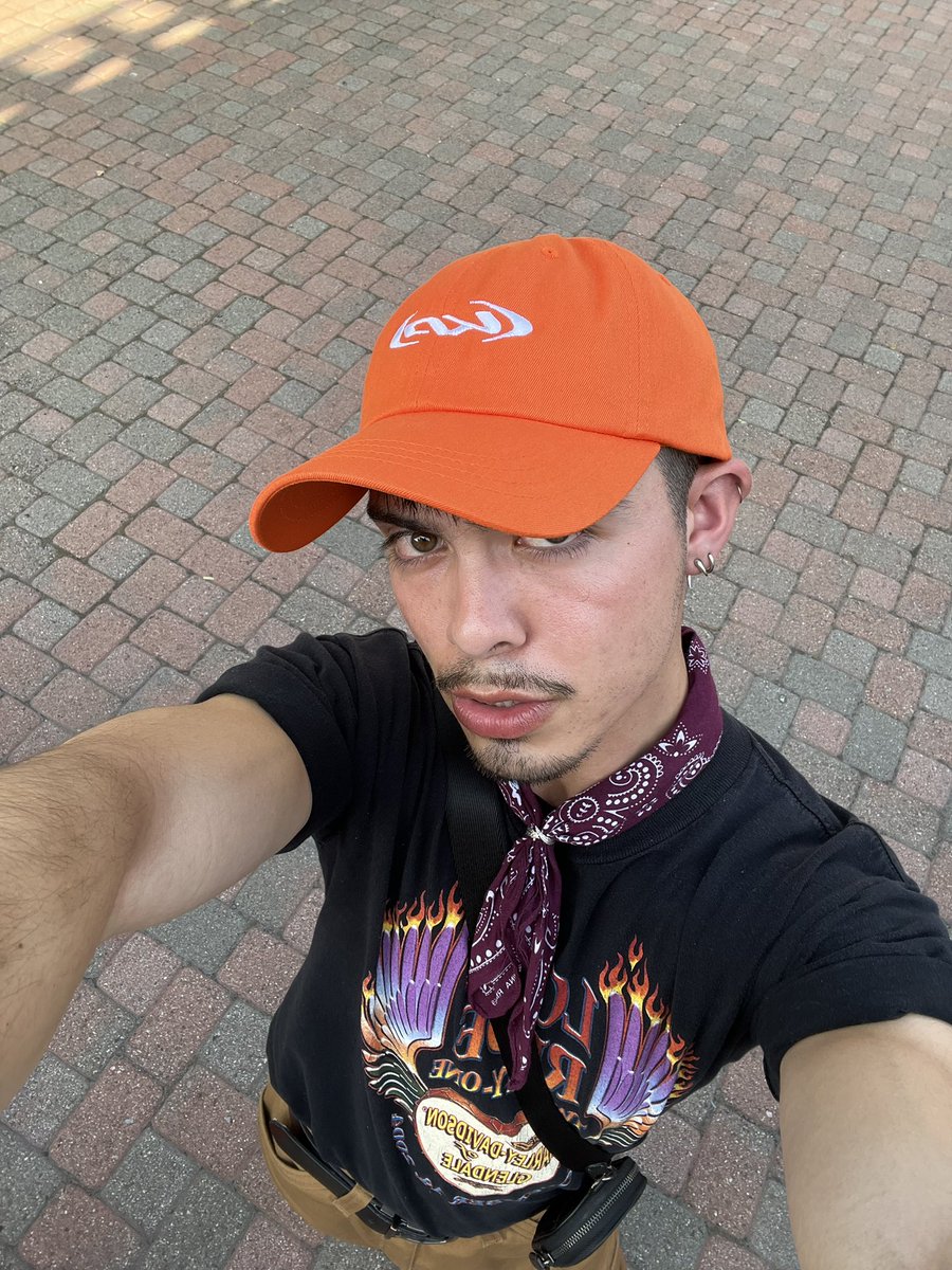 donal 🩹 tweet media