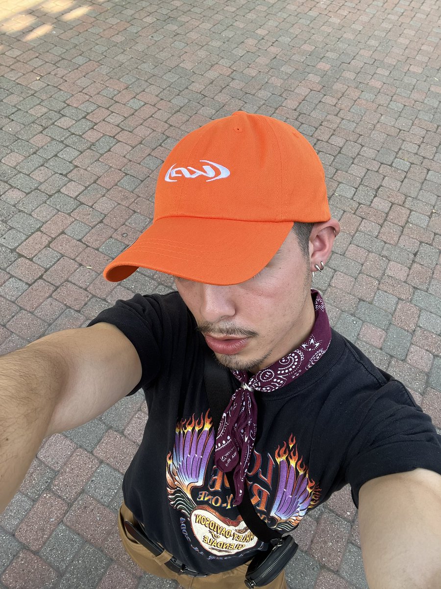 donal 🩹 tweet media