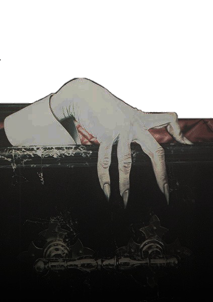 vampiricdooms's tweet photo. ᅠ https://t.co/tk8bq4XMdw