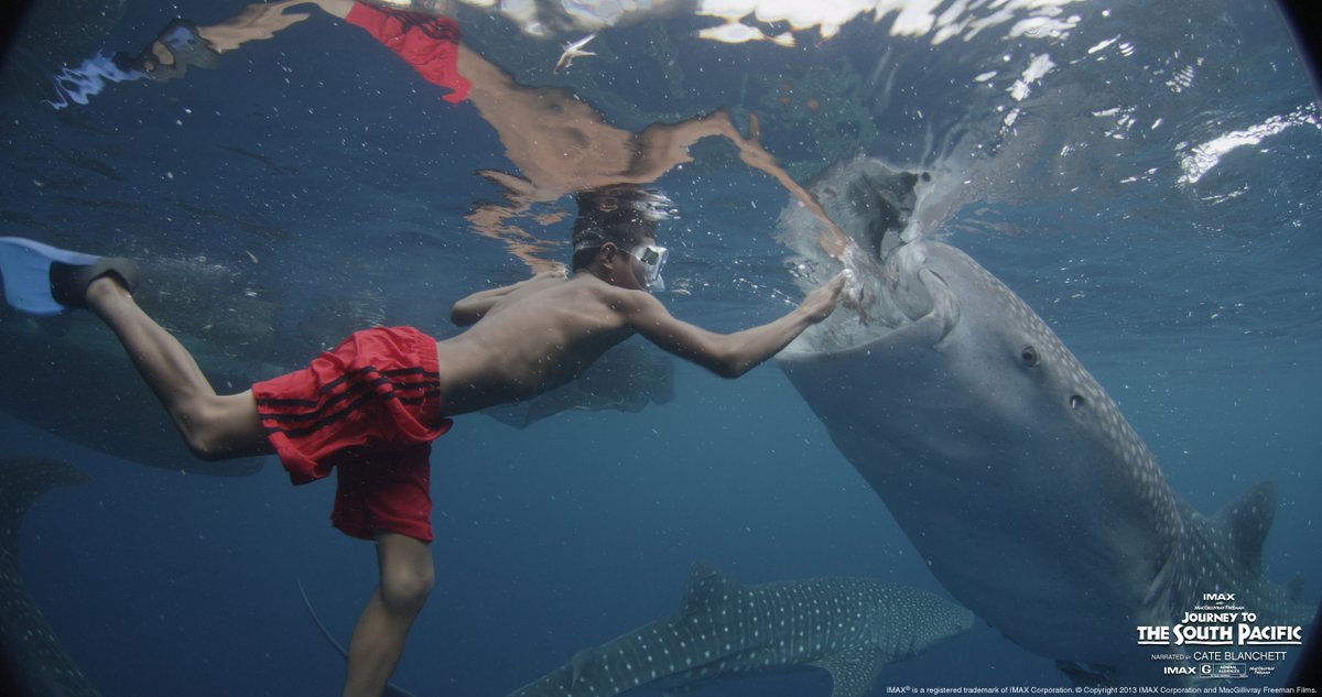 One World One Ocean tweet media