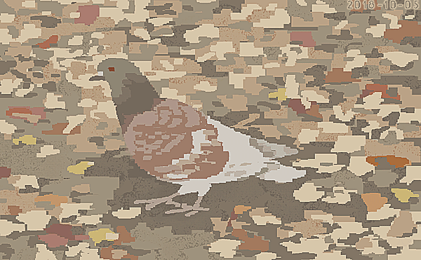 「鳩(2018) 」|junkumaのイラスト
