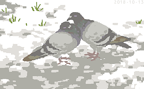 「鳩(2018) 」|junkumaのイラスト