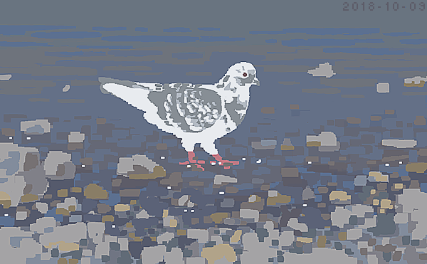 「鳩(2018) 」|junkumaのイラスト