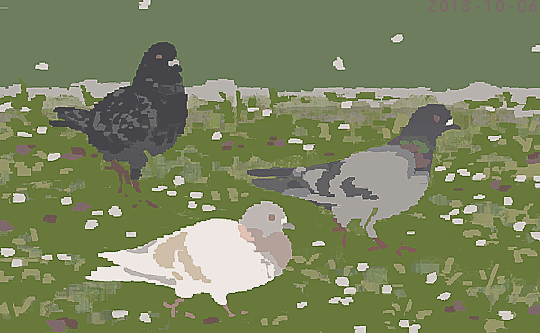 「鳩(2018) 」|junkumaのイラスト