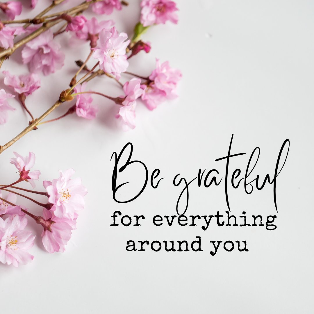 Are you following along on FB? 

Read my post here: facebook.com/hergrandlife/p…

What are you grateful for today?