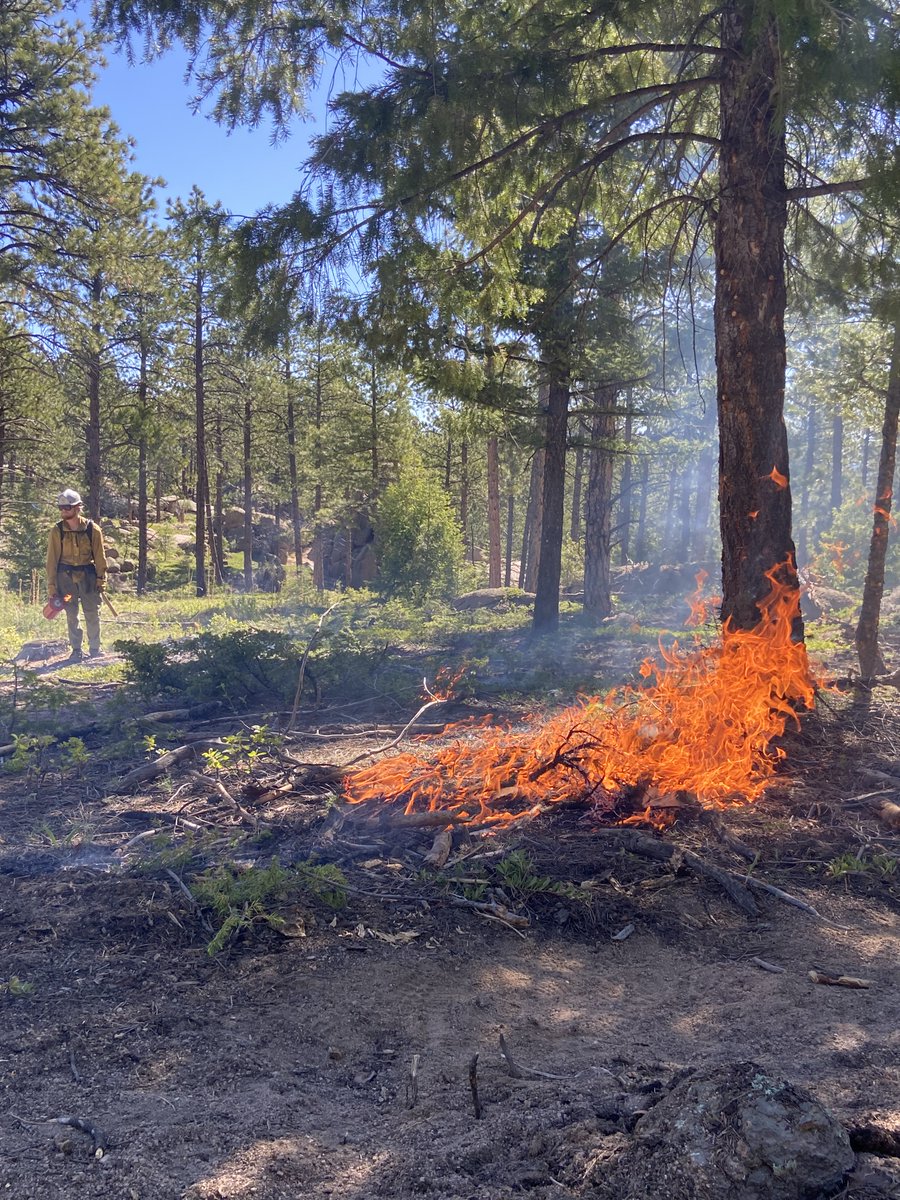 All ignitions have been completed for the #GreenMountainRX. Area residents please be aware that both smoke and flame may be visible overnight. Flame is from the interior of the burn area; crews are patrolling overnight to ensure the perimeter is secure.