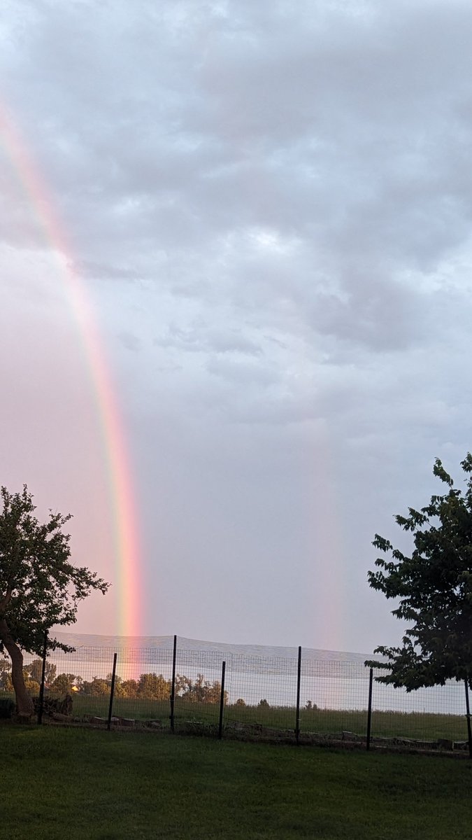 Mike Graber tweet media