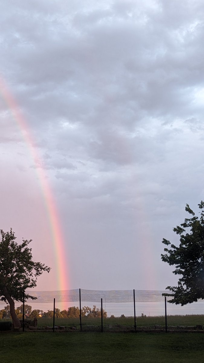 Mike Graber tweet media