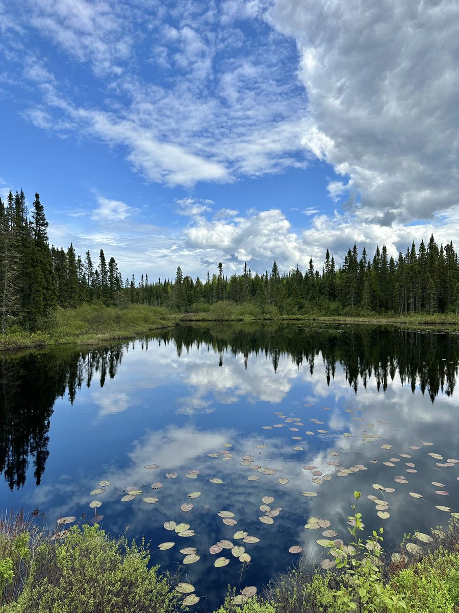 Mirrorworld in Superior National Forest
