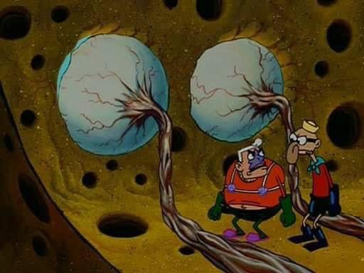 intensamente en veracruz