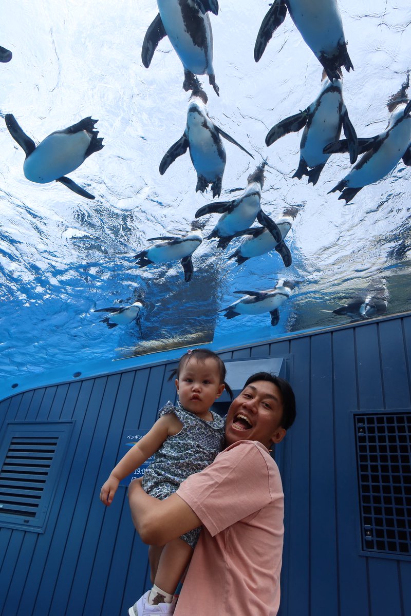 nateegetsunova's tweet photo. ใครสนุกกว่ากัน? 😆🐧💦 #LL🍙 #sunshineaquarium #snapiiing https://t.co/KWGx2KS2WX