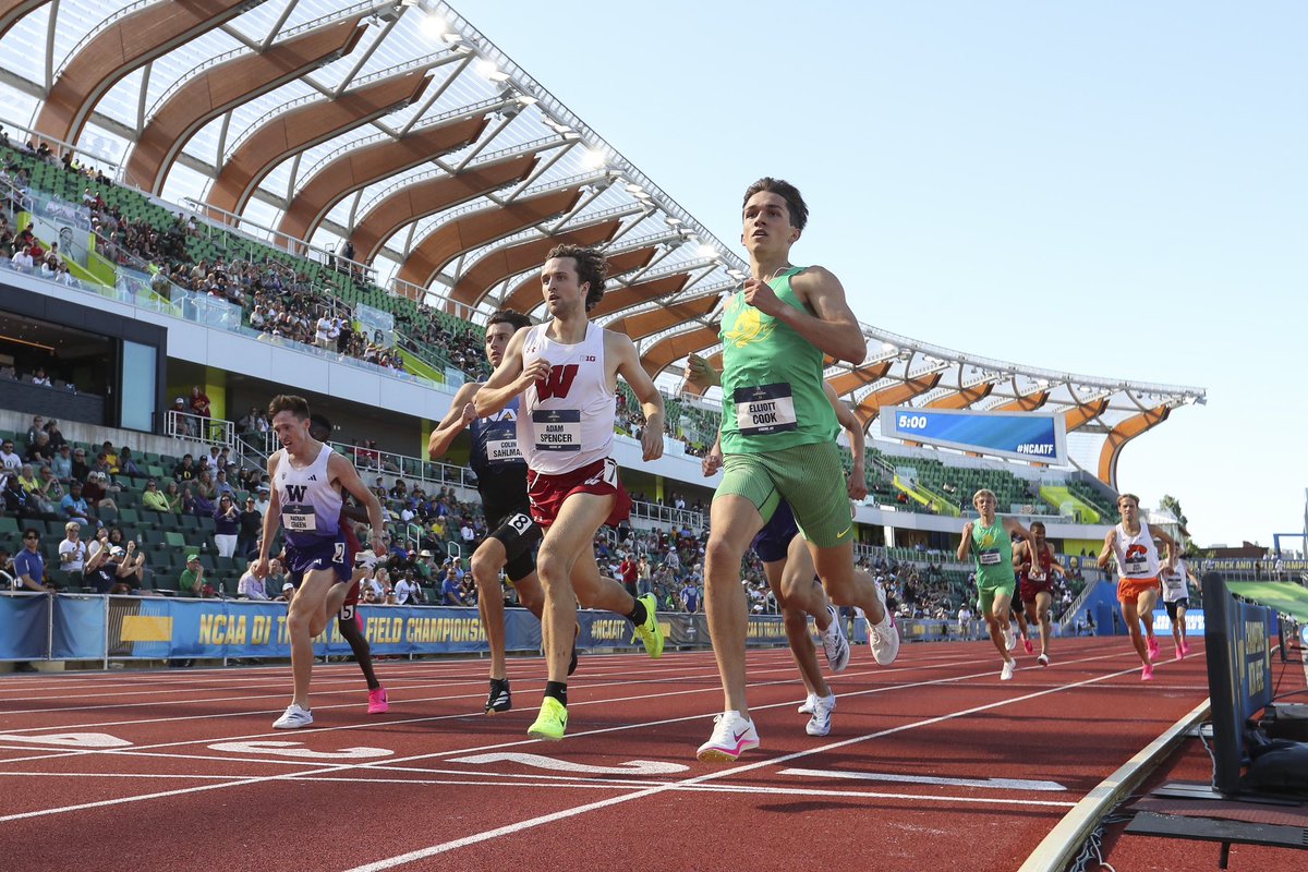 OregonTF's tweet image. Calm cool and collected. #GoDucks