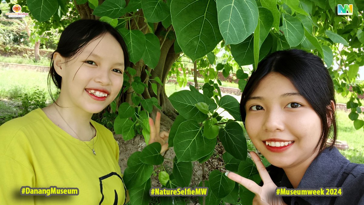 DaNangMuseum's tweet photo. On the 4th day of #Museumweek2024, join us for #NatureSelfieMW to explore and immerse yourself in the nature at Dien Hai citadel as a National Special Relic at once Danang Museum. Let's capture memorable moments with these natural backgrounds at Danang Museum! 
#DaNangMuseum https://t.co/Vav3PoqC8V