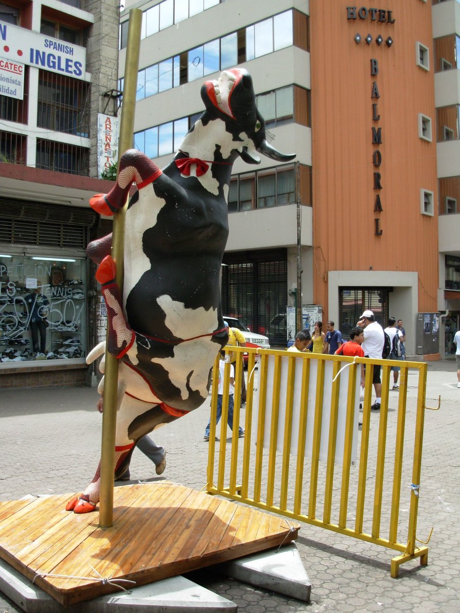 Ustedes están muy jóvenes, pero en el 2008 San José se llenó de vacas y en avenida central hubo una que era stripper.
