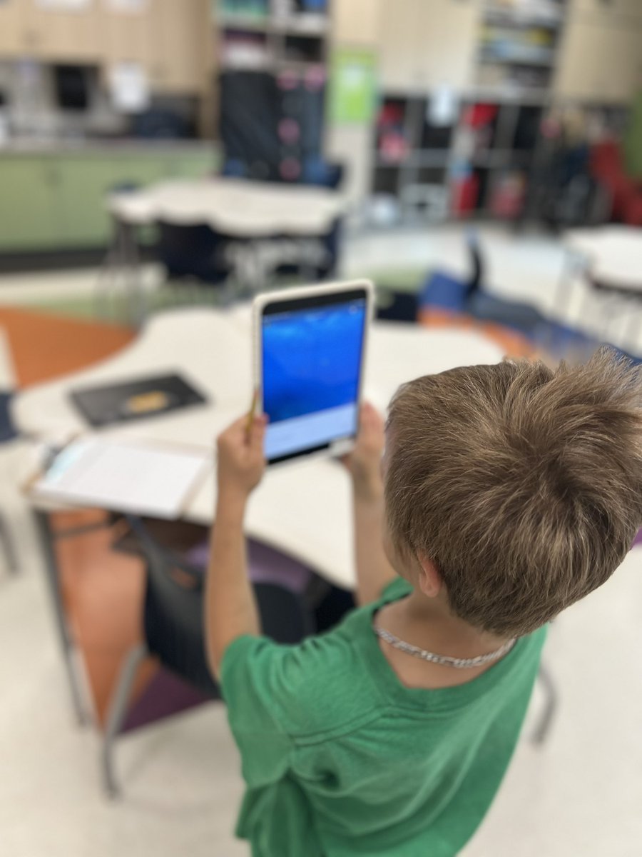 Falling Branch Elem tweet media