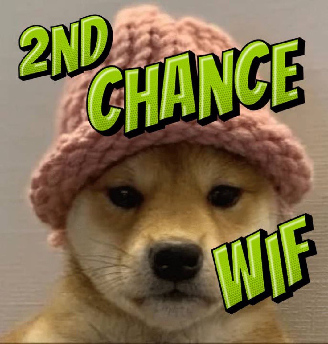 <a href="/miltonHou01/">Milton</a> <a href="/CrashiusClay69/">Crash</a> #secondchance $WIF 💪