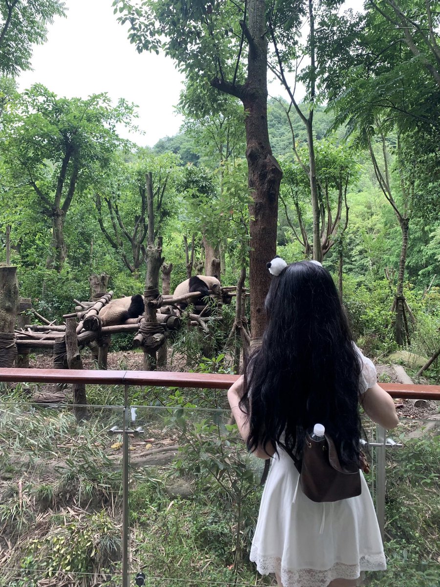 tutuPikachu's tweet photo. 今天是看熊猫🐼 #成都大熊猫繁育研究基地 https://t.co/MmJHOv1QHO