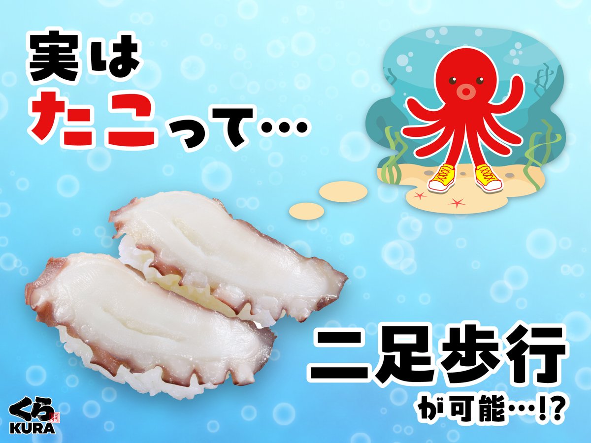 ざつがくらポン！ 6月の旬は #真たこ🐙 たこって、二足歩行が可能なの