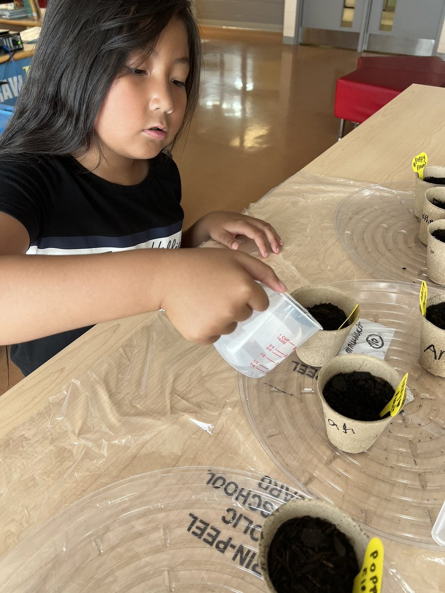 In celebration of World Environment Day, the Eco Team invited students to plant a tomato or flower seed! Grow your own vegetables and flowers to make a positive impact on our environment 🌎🌱