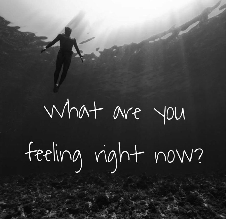 ProgramsSel's tweet photo. Allow yourself to feel emotions as they wash over you.
#SEL #Resilience #Selprograms #learningtools #mylearningtools #SELENA #socialemotionallearning #Mindfulness #SelfAwareness https://t.co/9p4KEYzQMQ