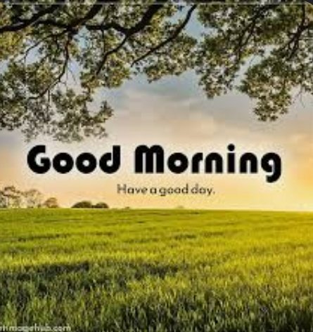payalsinghcg's tweet image. Good morning X family        #Goodmorningtwitter