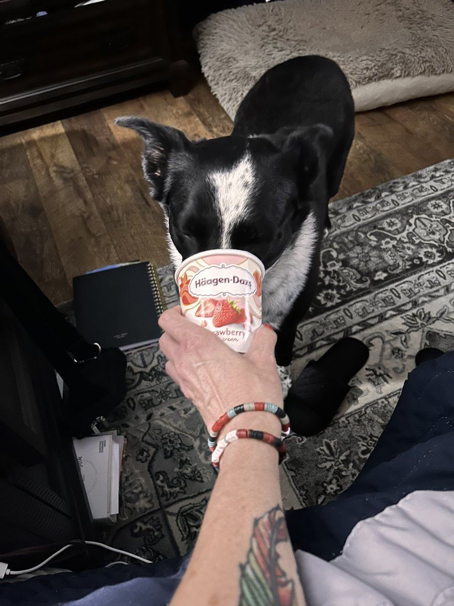 Paulakhanson's tweet photo. Tom Brady, the greatest dog of all time, loves her @HaagenDazs_US https://t.co/8u1OgG5JrX