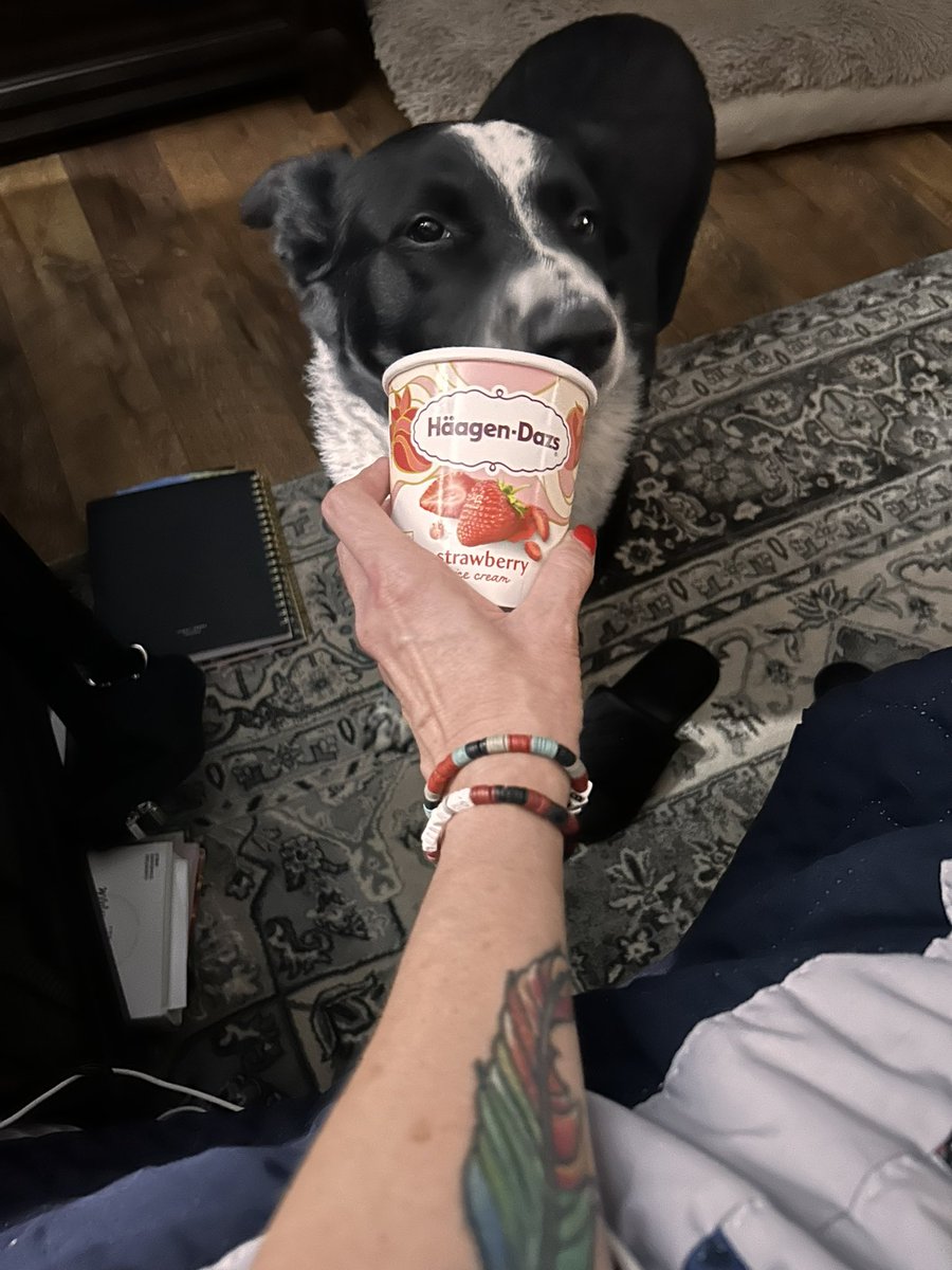 Paulakhanson's tweet photo. Tom Brady, the greatest dog of all time, loves her @HaagenDazs_US https://t.co/8u1OgG5JrX