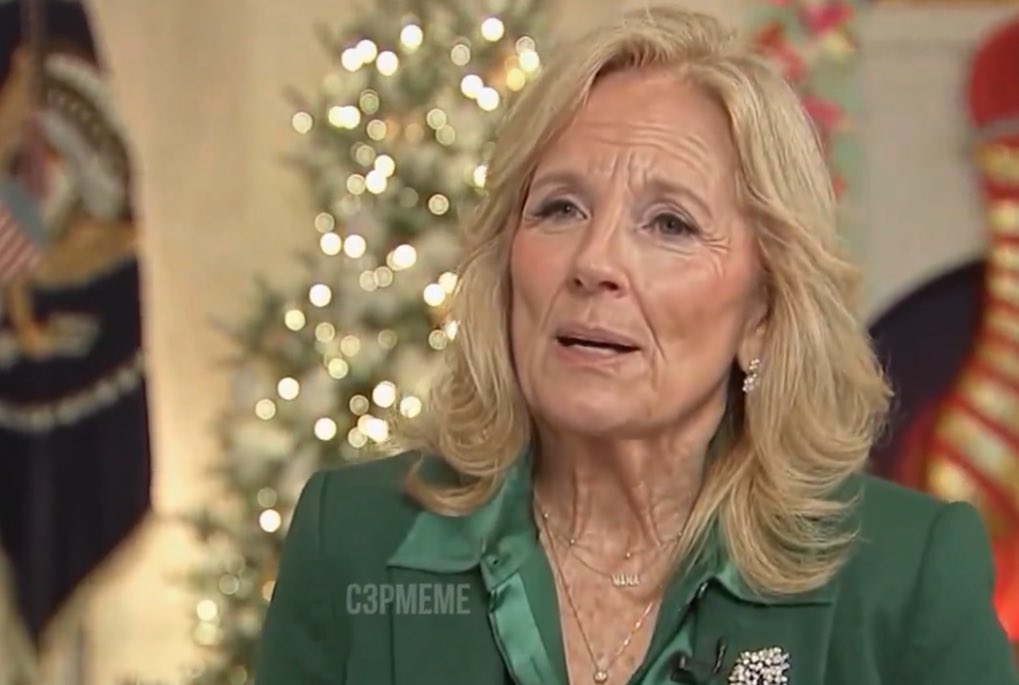 How would you describe Jill Biden?