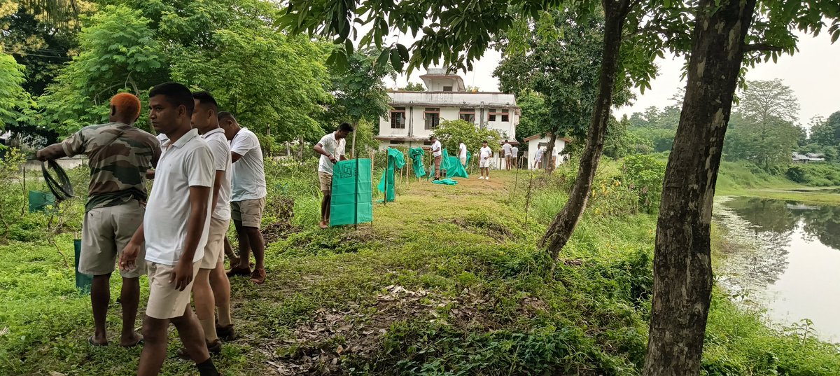 Satya271970's tweet photo. Mere planting trees will not work, unless we nurtured them till maturity. We are trying to give Agronet Cover to the samplings planted yesterday at 24 APBn HQ Charaimari for protecting them from stray animals as an effort to make the campus Green. https://t.co/VzkPwjEhPN