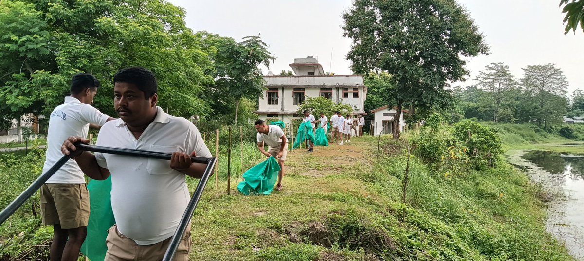Satya271970's tweet photo. Mere planting trees will not work, unless we nurtured them till maturity. We are trying to give Agronet Cover to the samplings planted yesterday at 24 APBn HQ Charaimari for protecting them from stray animals as an effort to make the campus Green. https://t.co/VzkPwjEhPN