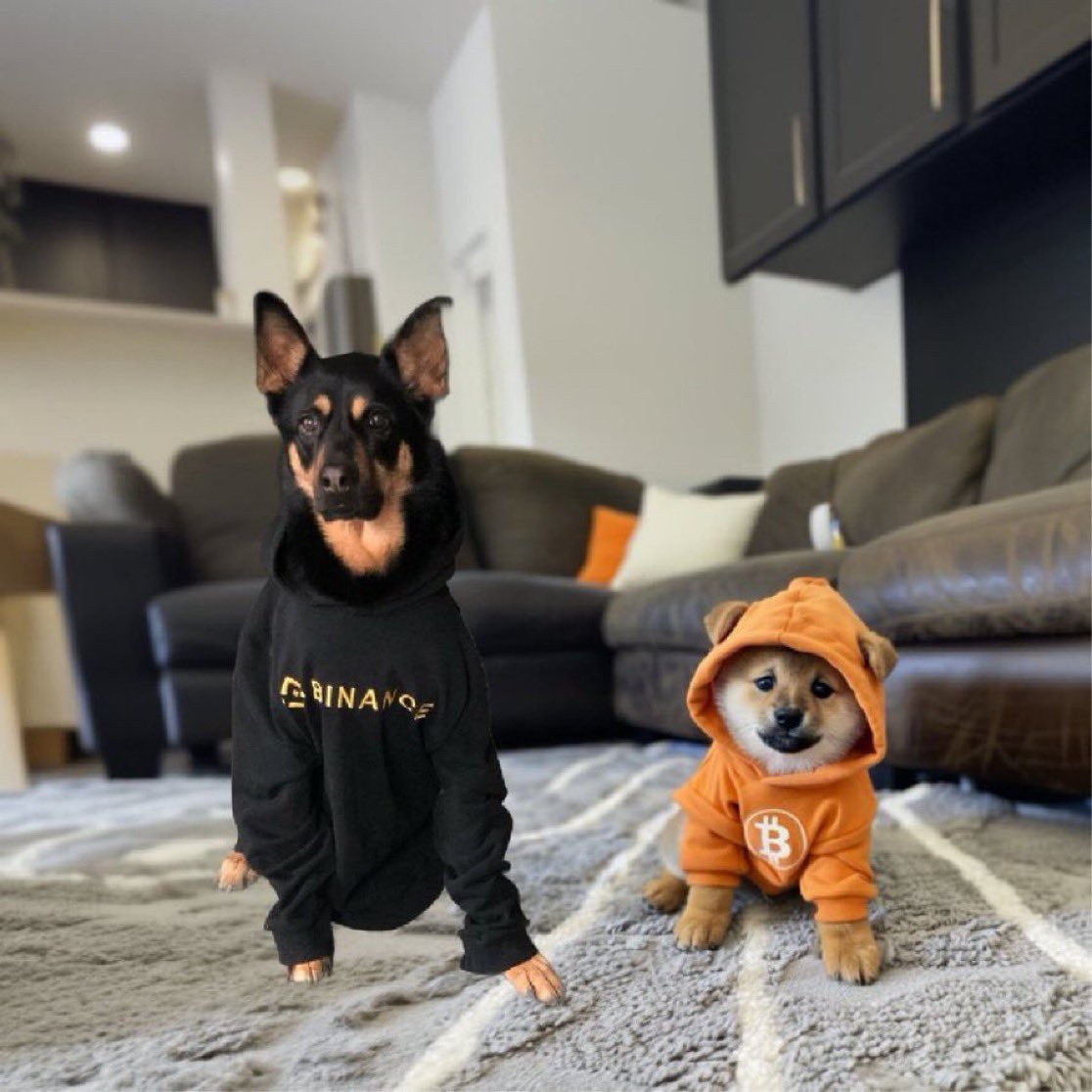 Day 47 of asking when will 
<a href="/binance/">Binance</a> list $DOG ????????

Repost if you petition them to list the #1 Memecoin on the planet $DOG 

Repost 🫵🏼