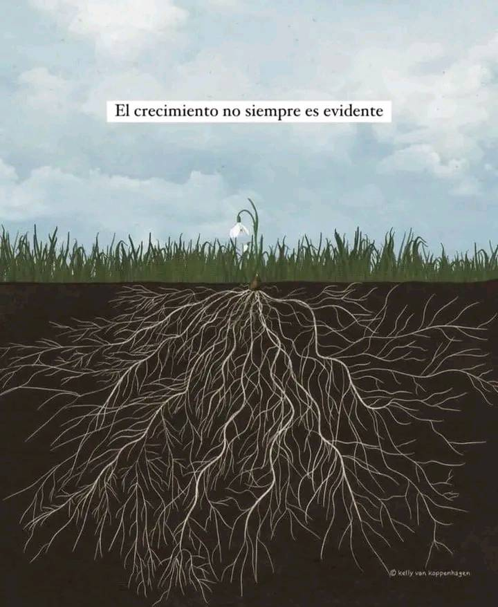 Bandidosfrasess's tweet photo. https://t.co/pydANGWsf9