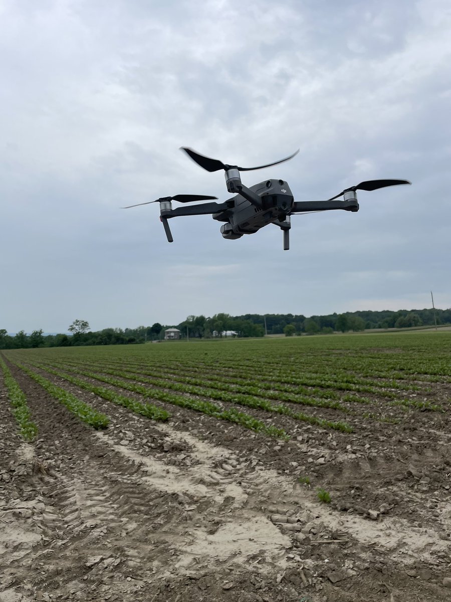 Jodie Aldred Photography tweet media