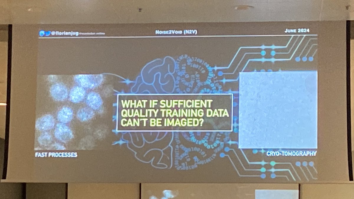 Marie Held 👩‍💻🔬💻🖼🔢 tweet media