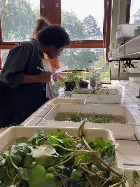 LIFE RIPARIAS (@liferiparias) on Twitter photo Let's Talk About Plant IDENTIFICATION! ๐ง๐ฟ
LIFE RIPARIAS is hosting 2 training days at <a href="/AgroBioTech/">Gembloux Agro-Bio Tech</a> focused on identifying invasive alien aquatic and riparian plants. A big thank you to all dedicated actors for their commitment and vital efforts to protecting our ecosystems ๐ Let's Talk About Plant IDENTIFICATION! ๐ง๐ฟ
LIFE RIPARIAS is hosting 2 training days at <a href="/AgroBioTech/">Gembloux Agro-Bio Tech</a> focused on identifying invasive alien aquatic and riparian plants. A big thank you to all dedicated actors for their commitment and vital efforts to protecting our ecosystems ๐
