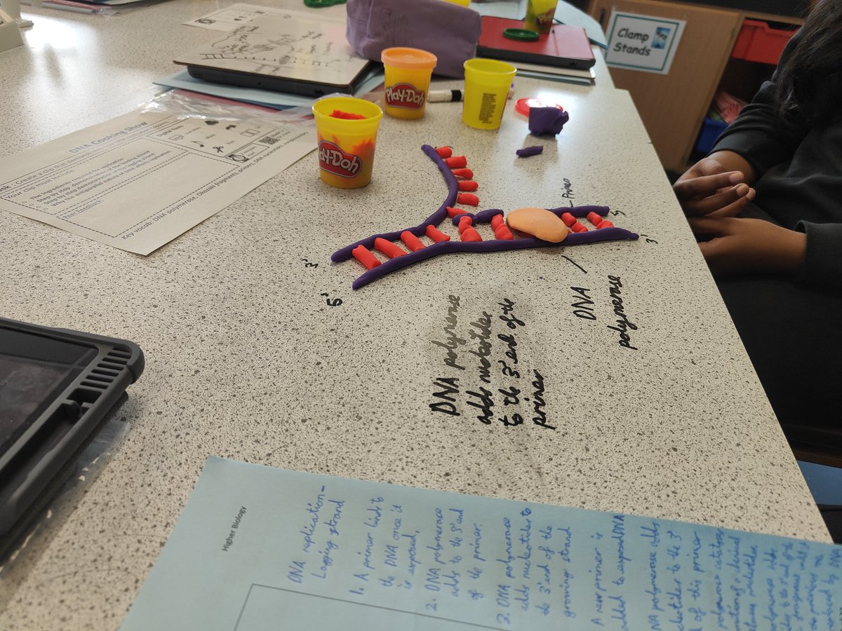 craigiescience's tweet image. How well can you teach your peers about DNA replication? Our highers used Apple Clips to model this process and peer assessed against set criteria. #engageandchallenge #evaluateprogress