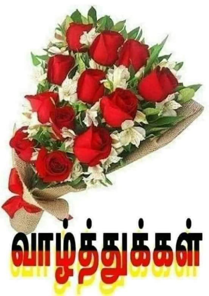 srinivasankanni's tweet photo. https://t.co/PvpfgO6QMW