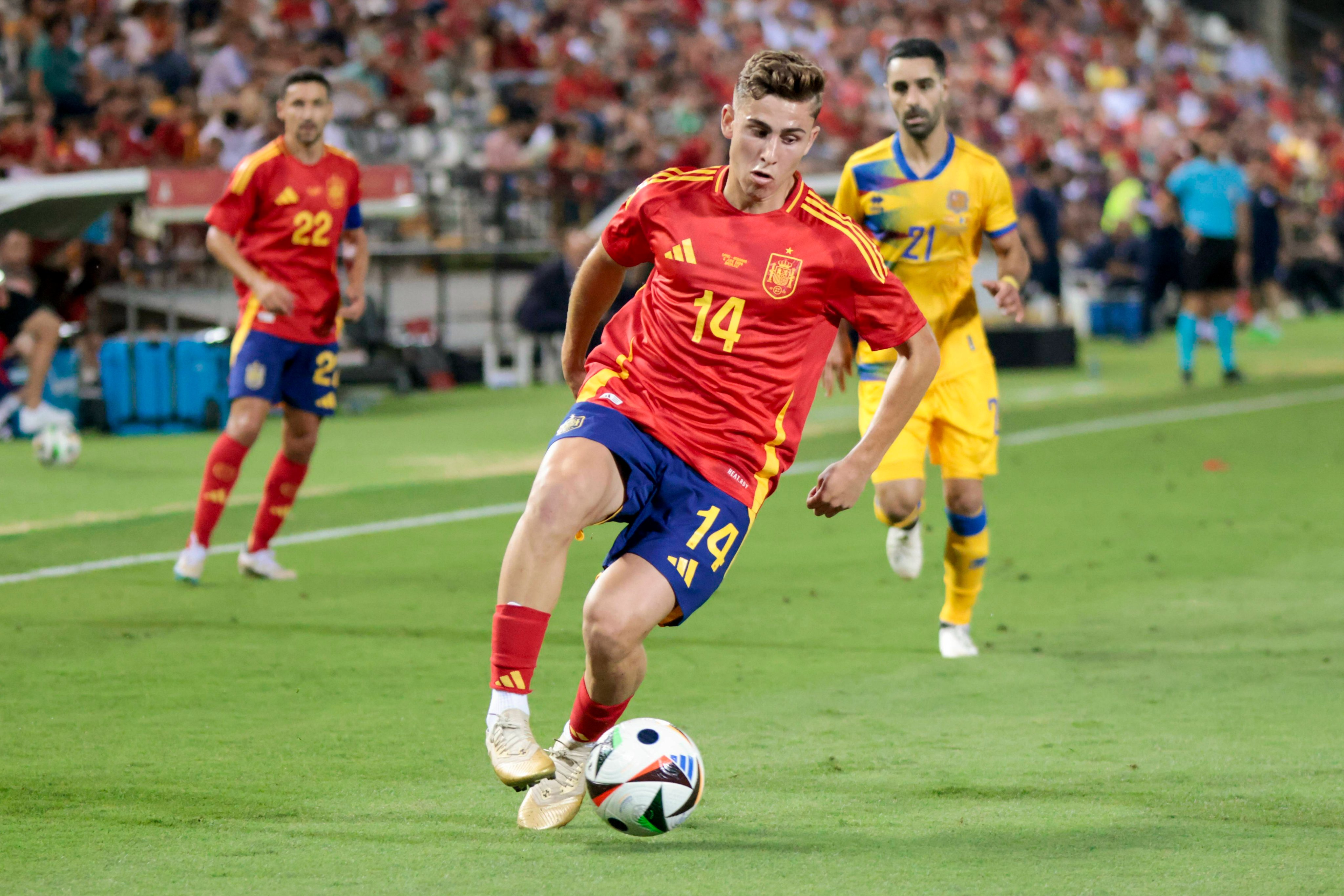 Fermín. Imagen vía: Selección Española.